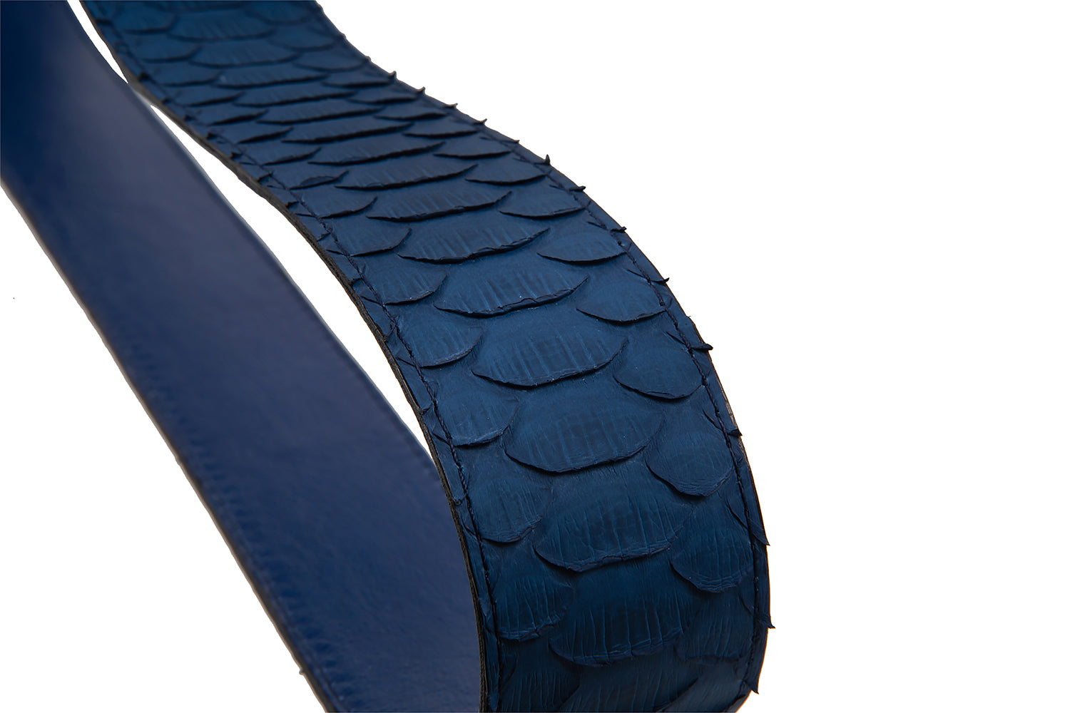 CINTURÓN HEBILLA AZUL - Tacchy Official Online Store